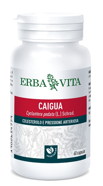 CAIGUA 60 CAPSULE 400 MG - Farmaciapacini.it