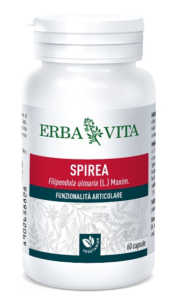 SPIREA ULMARIA 60 CAPSULE 400 MG - Farmaciapacini.it