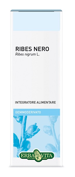 GEMMODERIVATO RIBES NERO 50 ML - Farmaciapacini.it