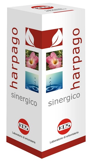 HARPAGO SINERGICO GOCCE 100 ML - Farmaciapacini.it