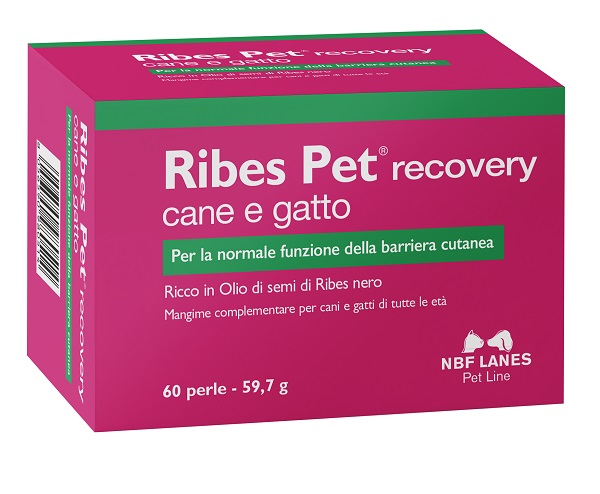 RIBES PET RECOVERY BLISTER 60 PERLE - Farmaciapacini.it