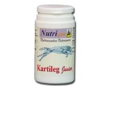 KARTILEG J 60TAV - Farmaciapacini.it