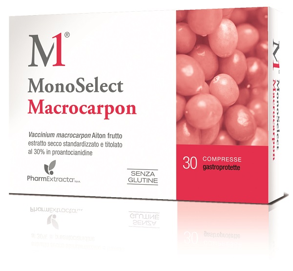 MONOSELECT MACROCARPON 30 COMPRESSE GASTROPROTETTE - Farmaciapacini.it