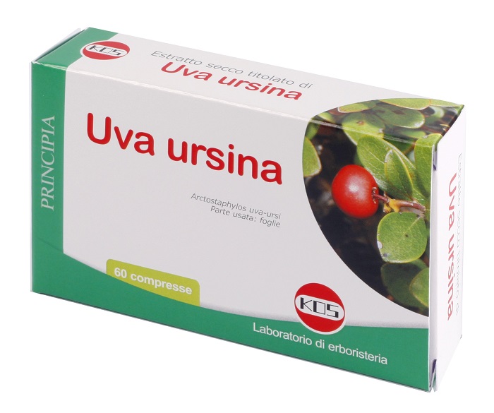 UVA URSINA ESTRATTO SECCO 60 COMPRESSE - Farmaciapacini.it
