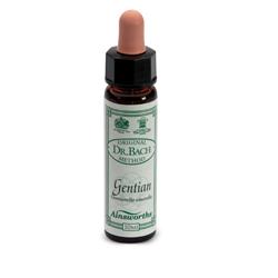 AINSWORTHS GENTIAN 10ML - Farmaciapacini.it