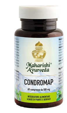 CONDROMAP 60 COMPRESSE - Farmaciapacini.it