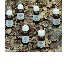 KA PLANTA OLIO MASSAGGIO 100 ML - Farmaciapacini.it