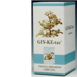 GINKETZE BIO 80 TAVOLETTE 600 MG - Farmaciapacini.it