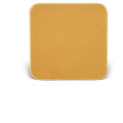 BARRIERA CUTANEA INTERAMENTE IN STOMAHESIVE PER LA PROTEZIONE DELL'AREA PERISTOMALE PLACCA STOMAHESIVE 10X10CM 5 PEZZI - Farmaciapacini.it