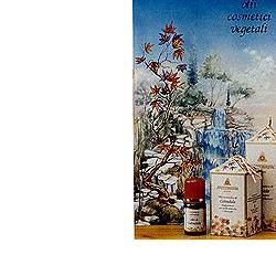 CALENDULA OLIO 100ML - Farmaciapacini.it