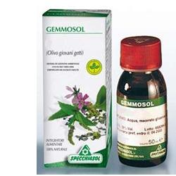 GEMMOSOL 36 RIBES NERO 50ML - Farmaciapacini.it