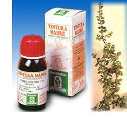 UVA URSINA 30 50ML TM - Farmaciapacini.it