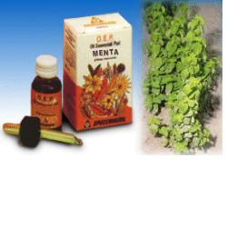 MENTA OLIO ESSENZIALE PURO 10 ML - Farmaciapacini.it