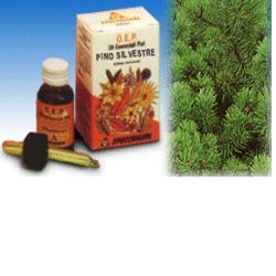 PINO SILVESTRE OLIO ESSENZIALE PURO 10 ML - Farmaciapacini.it