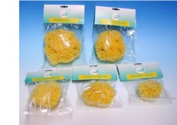 NATURA PURA SPUG NAT 16 BUST - Farmaciapacini.it