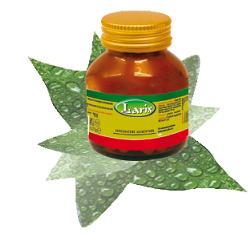 CARTILAGINE DI SQUALO 60 CAPSULE - Farmaciapacini.it