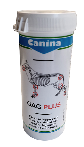 GAG PLUS 200 G 120 TAVOLETTE - Farmaciapacini.it