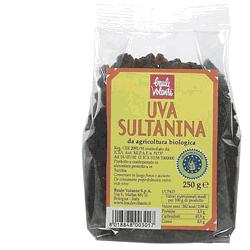 UVA SULTANINA 250 G - Farmaciapacini.it
