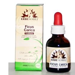 FITOBLASTO FICUS CARICA 50 ML - Farmaciapacini.it