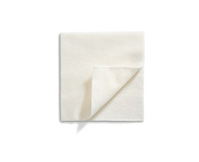 COMPRESSA ASSORBENTE IN TESSUTO NON TESSUTO A CONTENUTO SALINO MESALT 10X10CM 30 PEZZI - Farmaciapacini.it