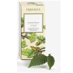 BETULA VERRUCOSA LINFA GEMMODERIVATO BIO 50 ML - Farmaciapacini.it