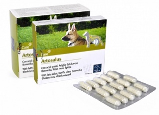 ORME NAT ARTOSALUS 60 COMPRESSE - Farmaciapacini.it