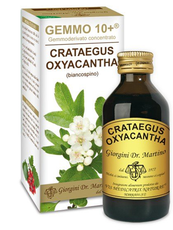 GEMMO 10+ BIANCOSPINO LIQUIDO ANALCOLICO 100 ML - Farmaciapacini.it