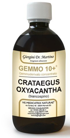 GEMMO 10+ BIANCOSPINO LIQUIDO ANALCOLICO 500 ML - Farmaciapacini.it