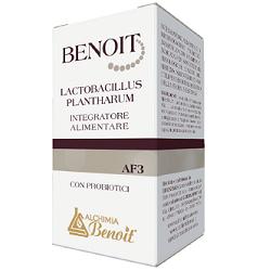 BENOIT LACTOBACILLUS PLANTHARUM 30 CAPSULE - Farmaciapacini.it