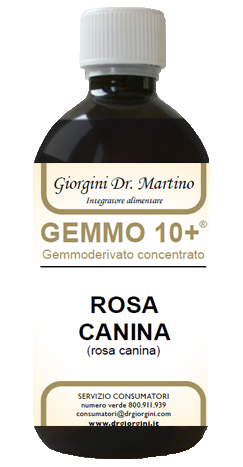 GEMMO 10+ ROSA CANINA LIQUIDO ANALCOLICO 500 ML - Farmaciapacini.it