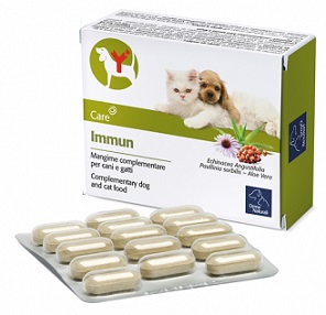 IMMUN 60 COMPRESSE - Farmaciapacini.it