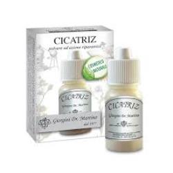 CICATRIZ POLV 10G - Farmaciapacini.it