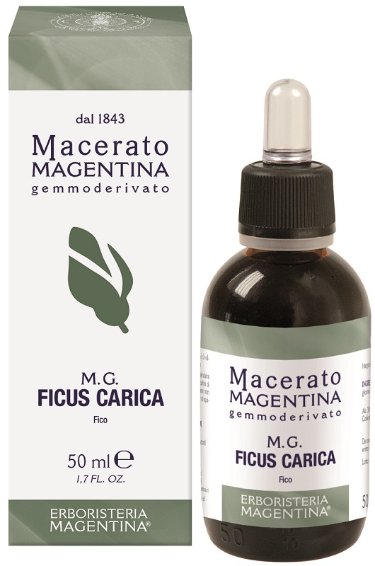 FICUS CARICA MACERATO MAGENTINA 50 ML - Farmaciapacini.it