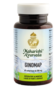GINOMAP 60 COMPRESSE - Farmaciapacini.it