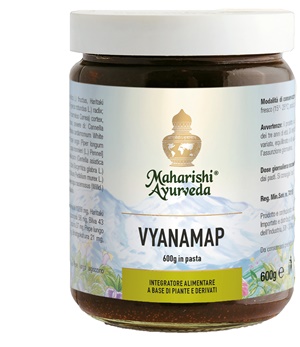 VYANAMAP PASTA 600 G - Farmaciapacini.it