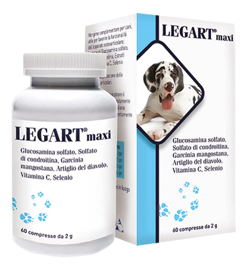 LEGART MAXI 60 COMPRESSE 2 G - Farmaciapacini.it