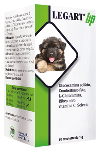 LEGART UP 60 COMPRESSE DA 1 G - Farmaciapacini.it