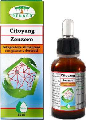 CITOYANG ZENZERO GOCCE FLACONCINO 50 ML - Farmaciapacini.it