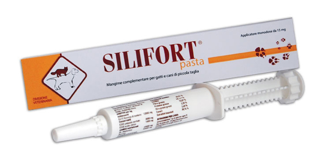 SILIFORT PASTA OS SIRINGA 30 G - Farmaciapacini.it