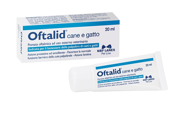 OFTALID POMATA OFTALMICA 20 ML - Farmaciapacini.it