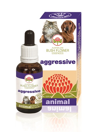 AGGRESSIVE 30 ML - Farmaciapacini.it