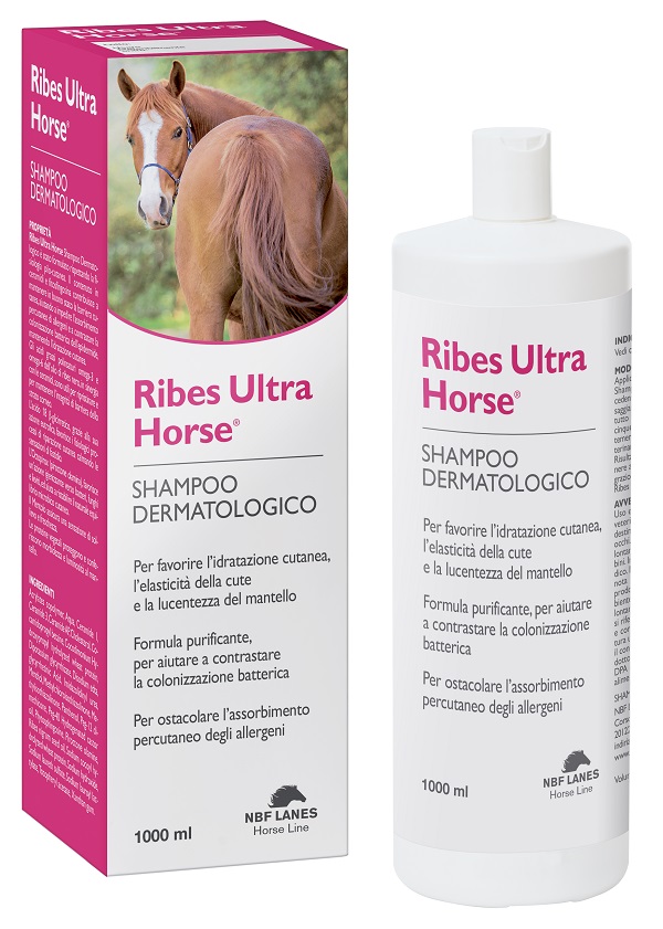 RIBES HORSE ULTRA SHAMPOO DERMATOLOGICO 1 LITRO - Farmaciapacini.it