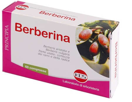BERBERINA ESTRATTO SECCO 60 COMPRESSE - Farmaciapacini.it