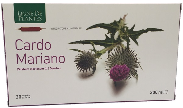 CARDO MARIANO BIOLOGICO 20 AMPOLLE BEVIBILI DA 15 ML - Farmaciapacini.it