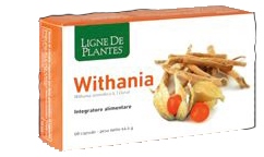WITHANIA 60 CAPSULE - Farmaciapacini.it