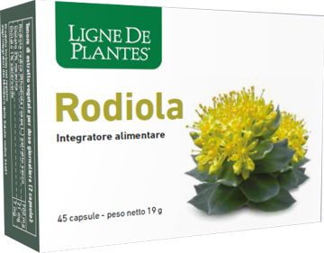 RODIOLA 45 CAPSULE - Farmaciapacini.it