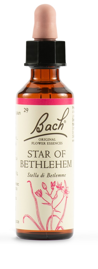 STAR OF BETHL ORIG 20 ML - Farmaciapacini.it