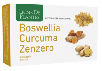 BOSWELLIA CURCUMA ZENZERO 60 CAPSULE - Farmaciapacini.it