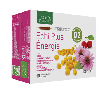 ECHI PLUS ENERGIE 10 AMPOLLE DA 10 ML - Farmaciapacini.it