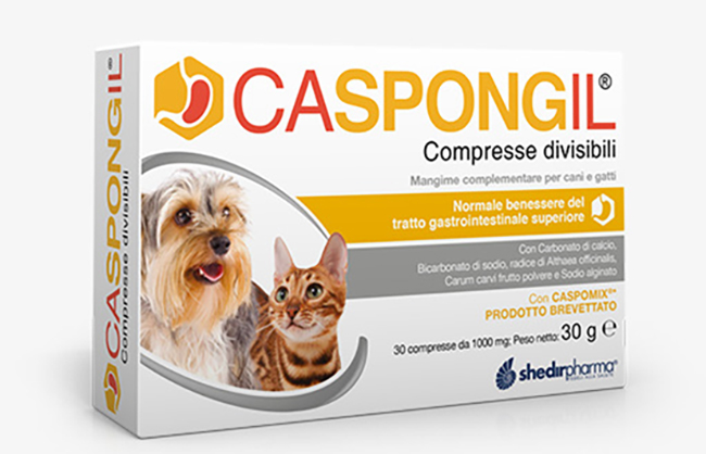 CASPONGIL 30 COMPRESSE DIVISIBILI - Farmaciapacini.it